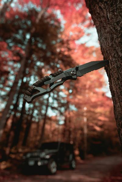 Metallkniv som är fäst i träd